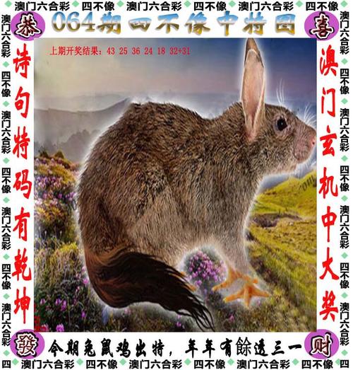 4949澳门特马今晚开奖53期今和郑钦文止步法网8强与